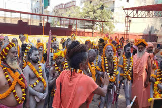 Juna Akhara of Kashi revives an ancient tradition with a grand procession to return the diet to the Akhara after the Prayagraj Maha Kumbh.