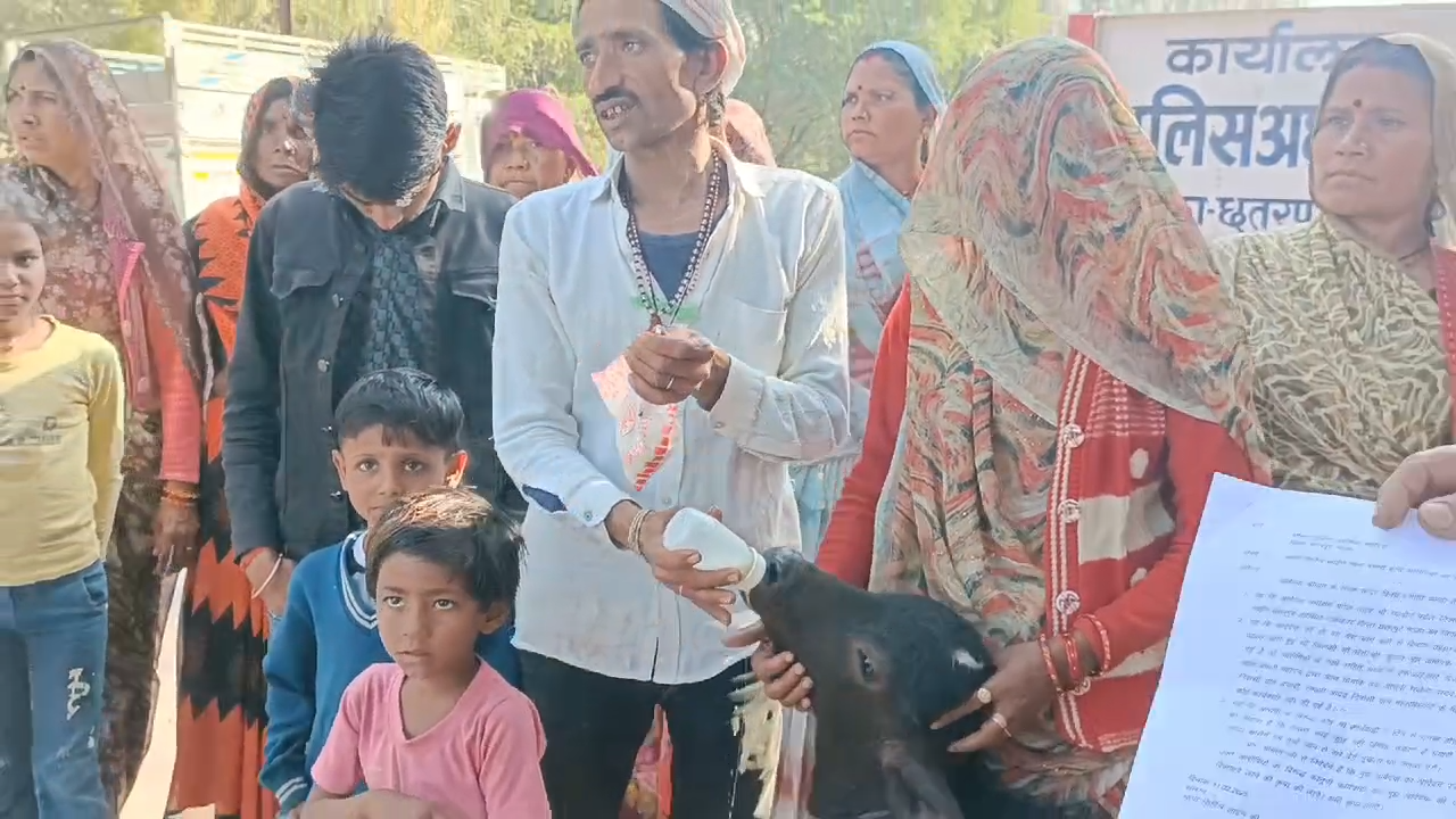 FARMER REACHED SP OFFICE WITH CALF