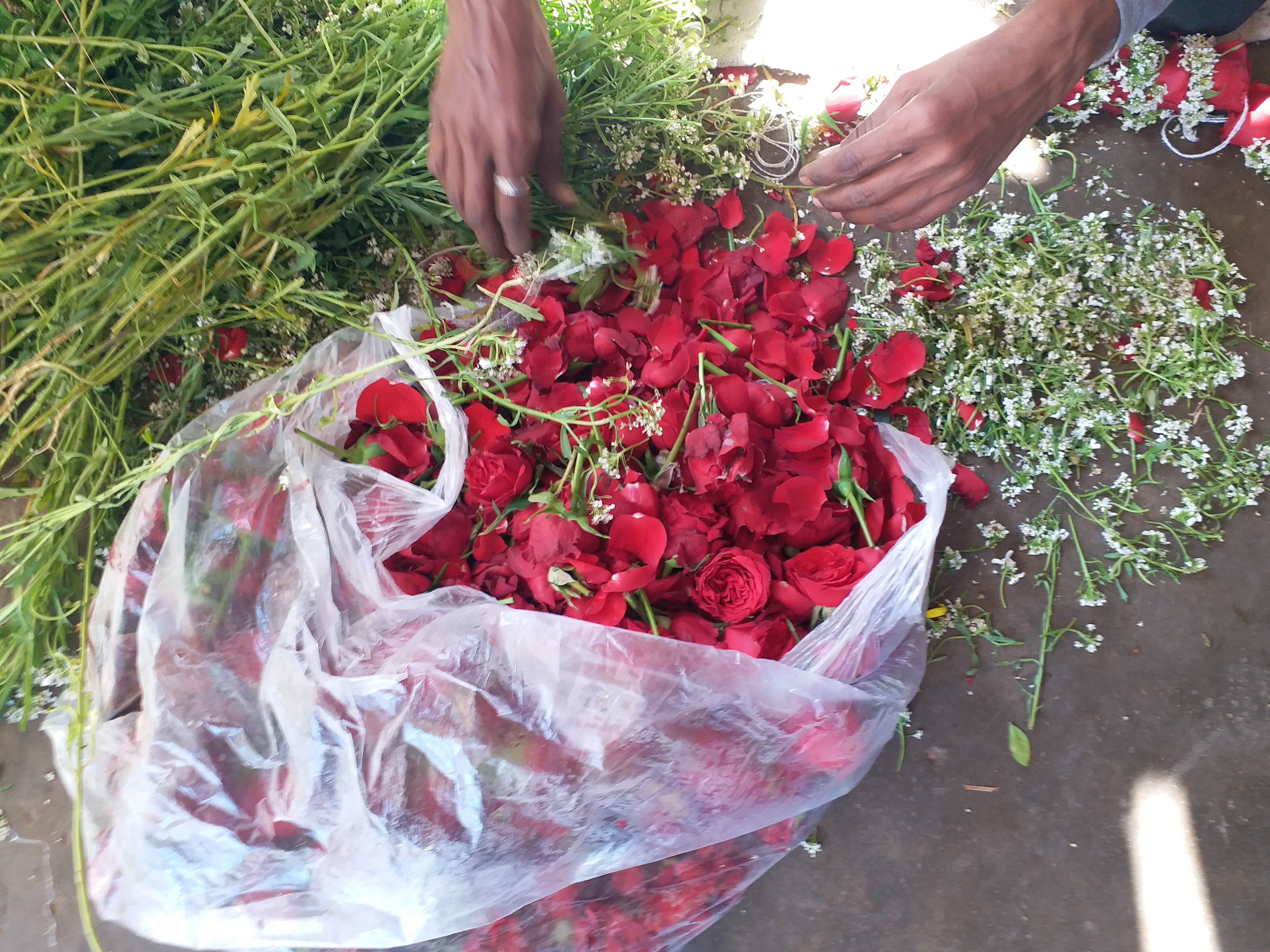 Valentine day special bouquets