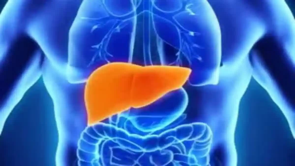 Liver Failure Causes in Telugu