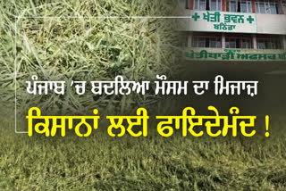 Weather For Crops In Punjab