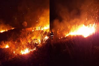 കാട്ടുതീ  മാവൂർ പൊൻ പറക്കുന്നിൽ തീപ്പിടുത്തം  wild fire  wild fire in Mavoor