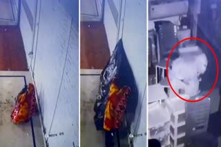Shocking way of theft shahdol cctv footage