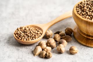 Coriander seeds water for Health News