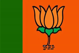 BJP candidates  Lok Sabha election 2024