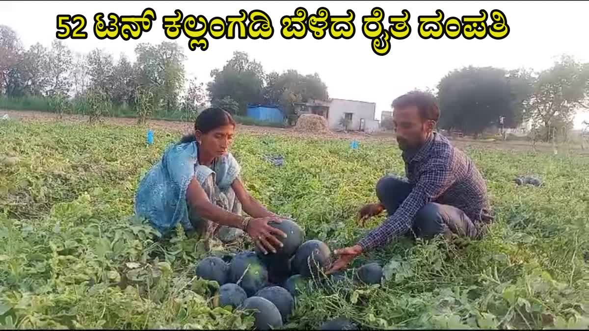 Etv Bharat