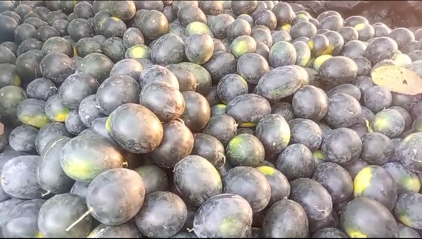 nanded farmer huge success