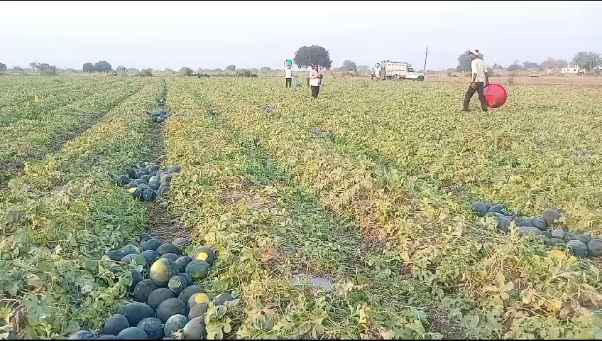 nanded farmer huge success