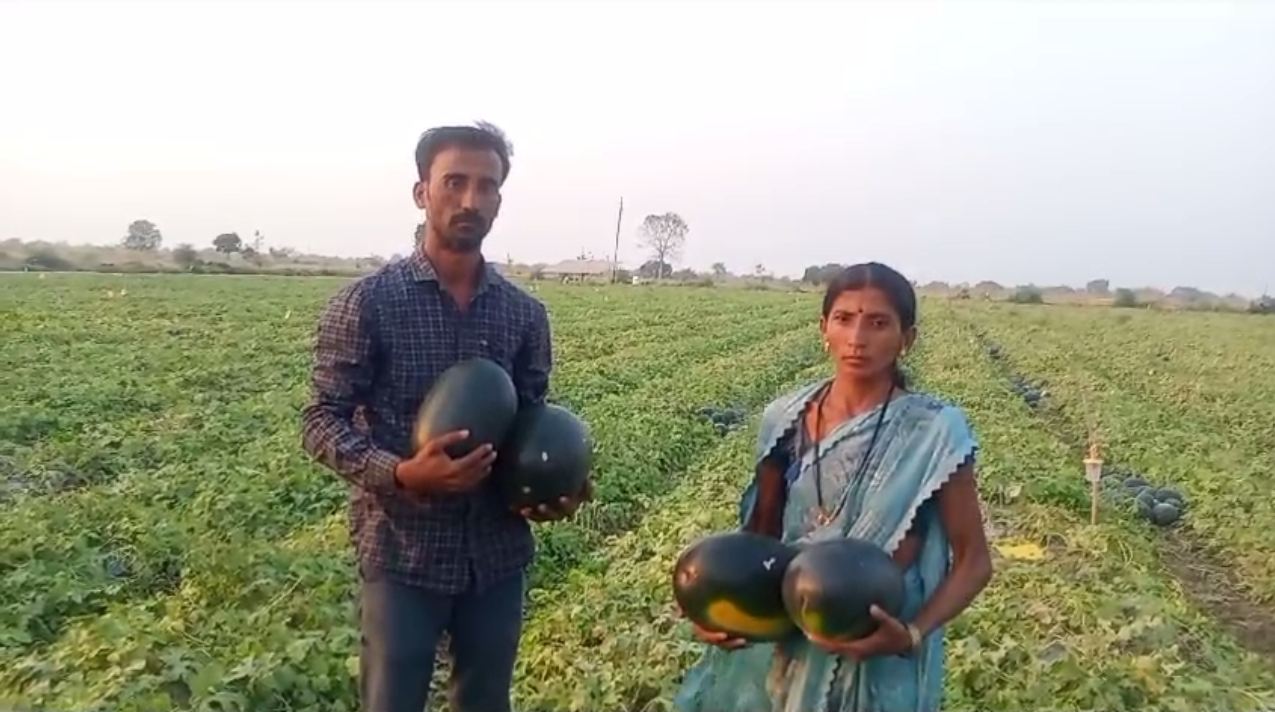 nanded farmer huge success