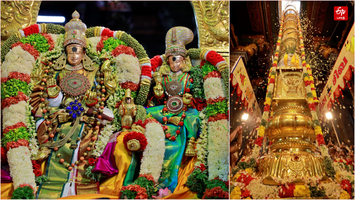 Madurai Meenakshi Amman Temple