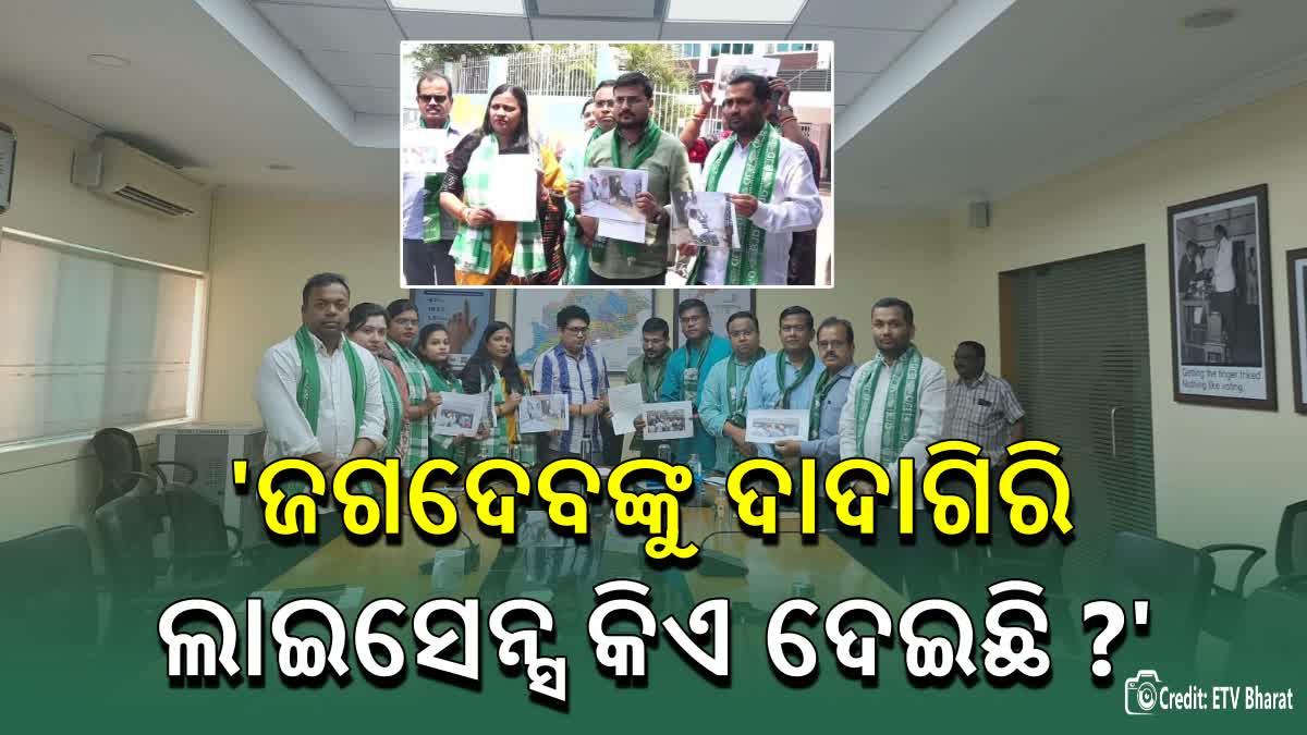 BJD meet CEO