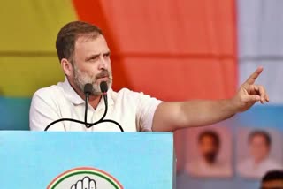 rahul-gandhi-to-campaign-for-lok-sabha-elections-in-karnataka-on-august-17