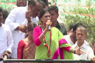 nyaya_yatra_apcc_ys_sharmila_visit_kadapa