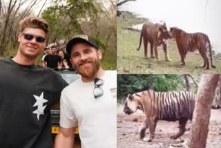 KANE WILLIAMSON IN RANTHAMBORE