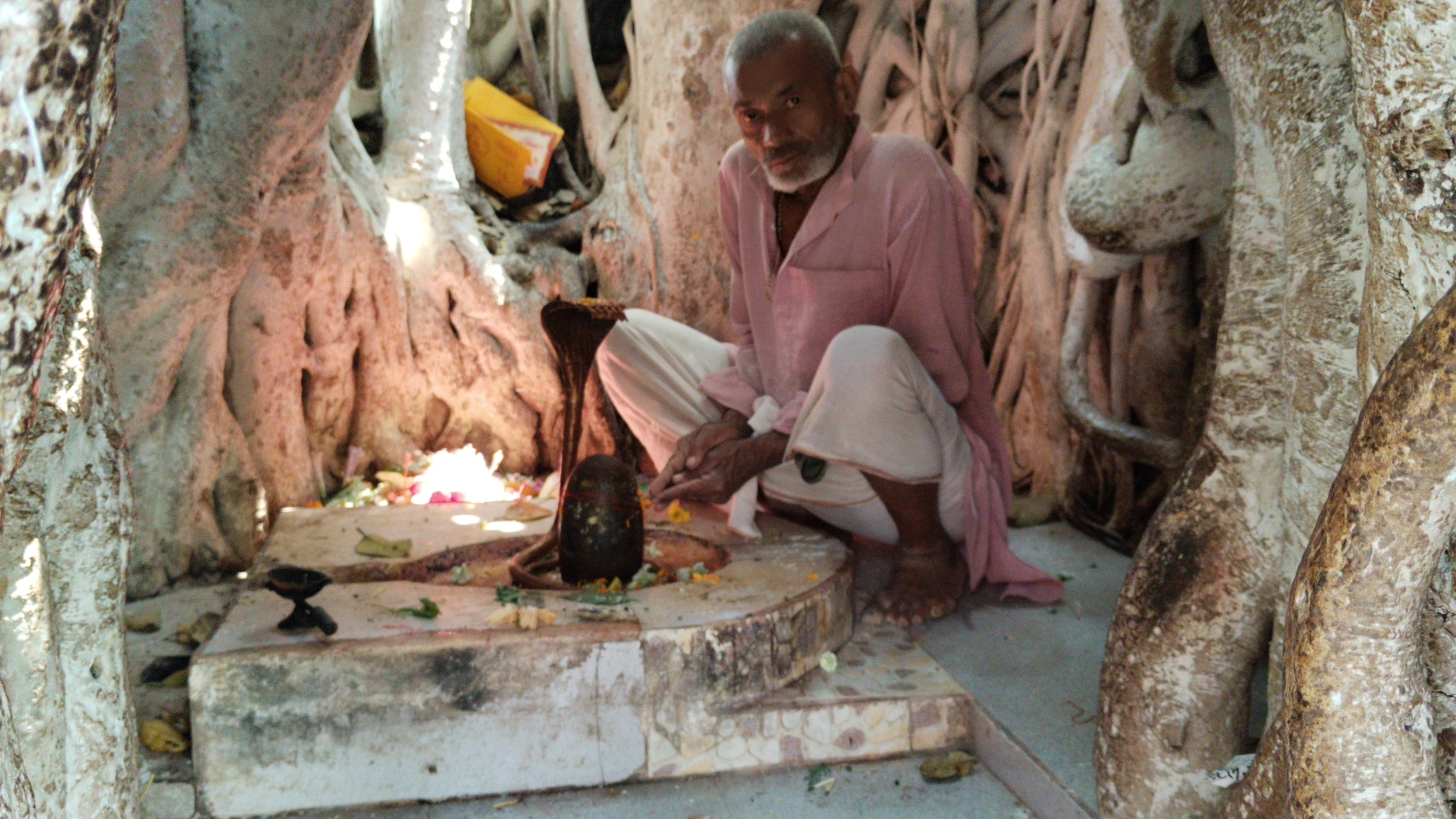 पीपल और बरगद के पेड़ में शिव मंदिर