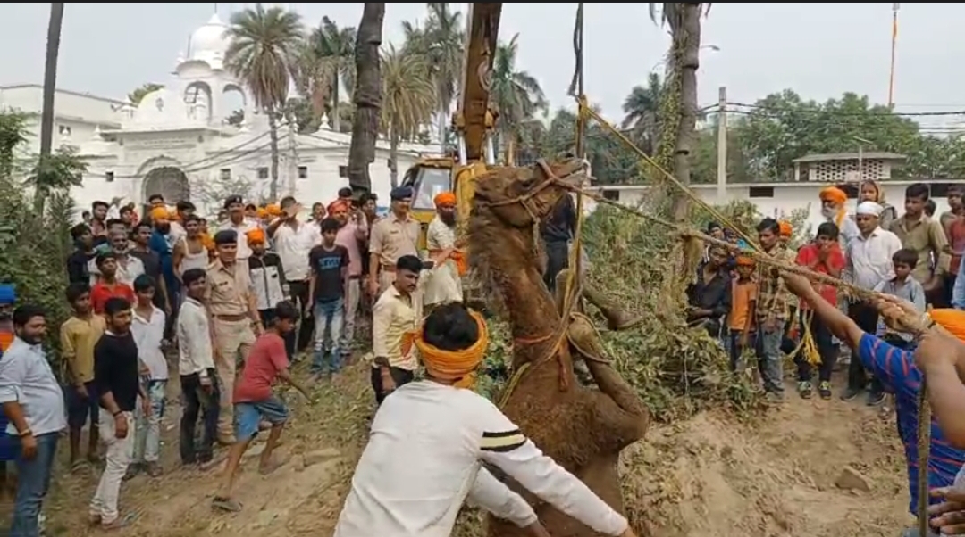 पटना में रेस्क्यू कर भारी भरकम ऊंट को कुएं से निकालने में मिली सफलता