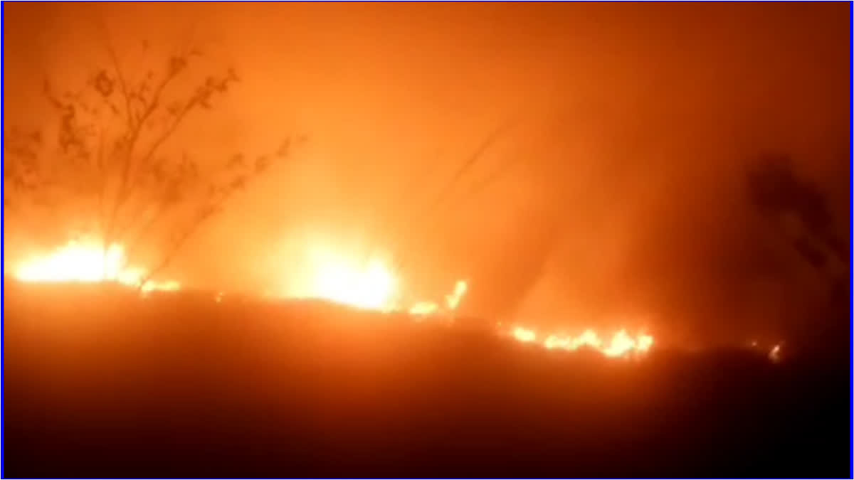 fire in Ambala crop field
