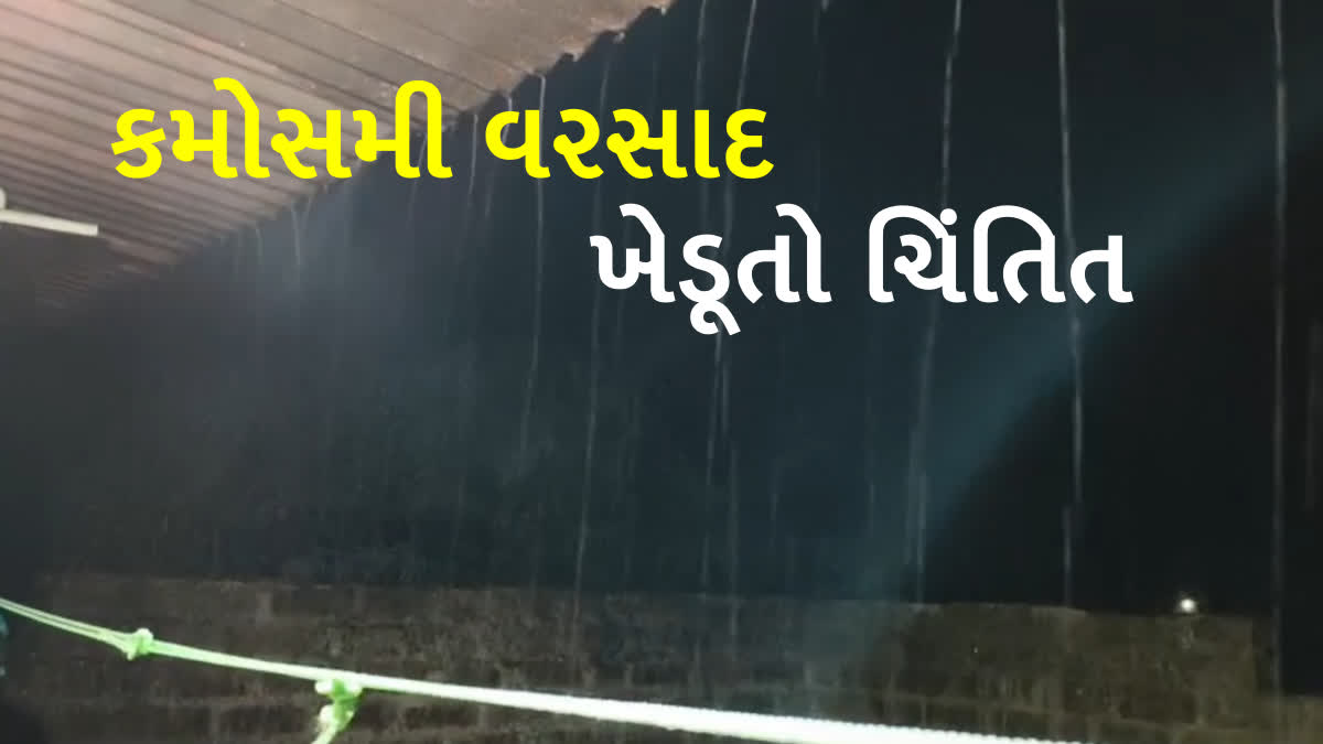 કમોસમી વરસાદને લઈને ખેડૂતો ચિંતિત