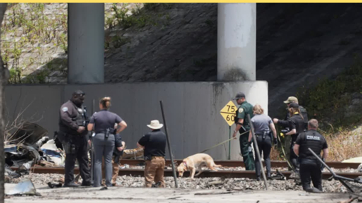 A small Cessna 310R plane crashed in Florida ,killing three people