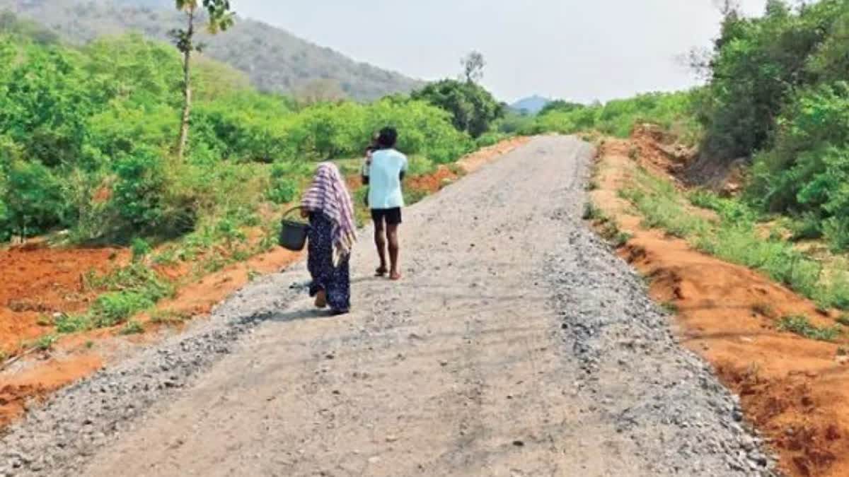 Road for A Village With 13 Houses