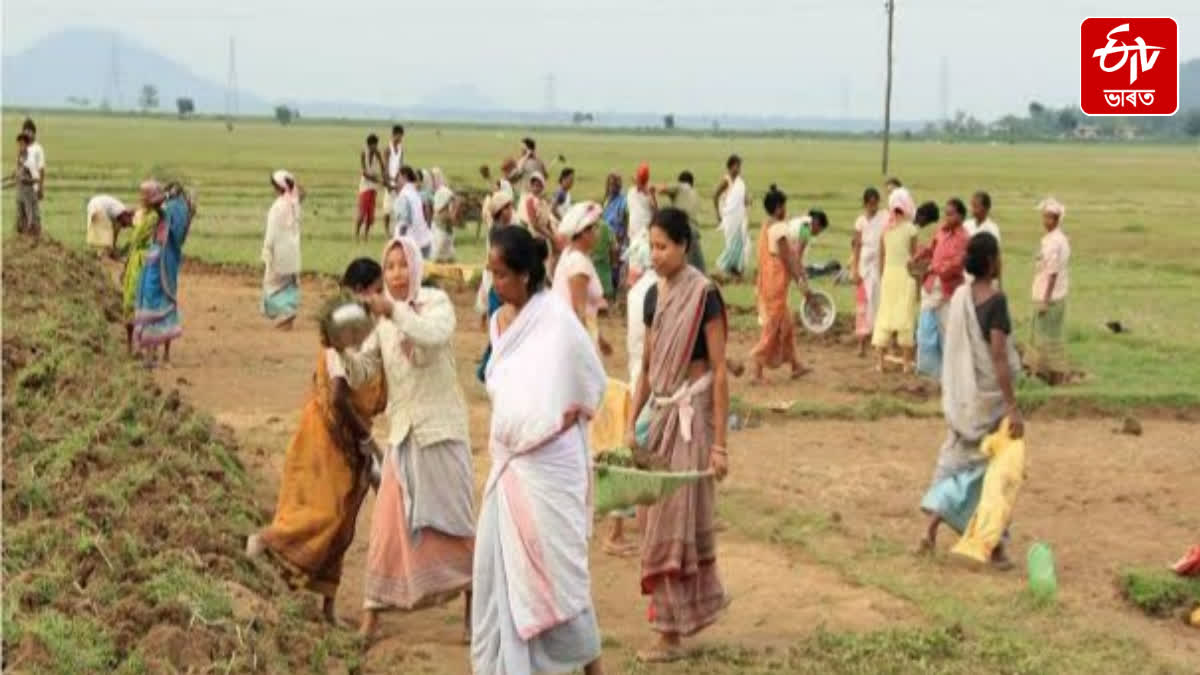 State Government has completely failed to generate rural employment through NREGA