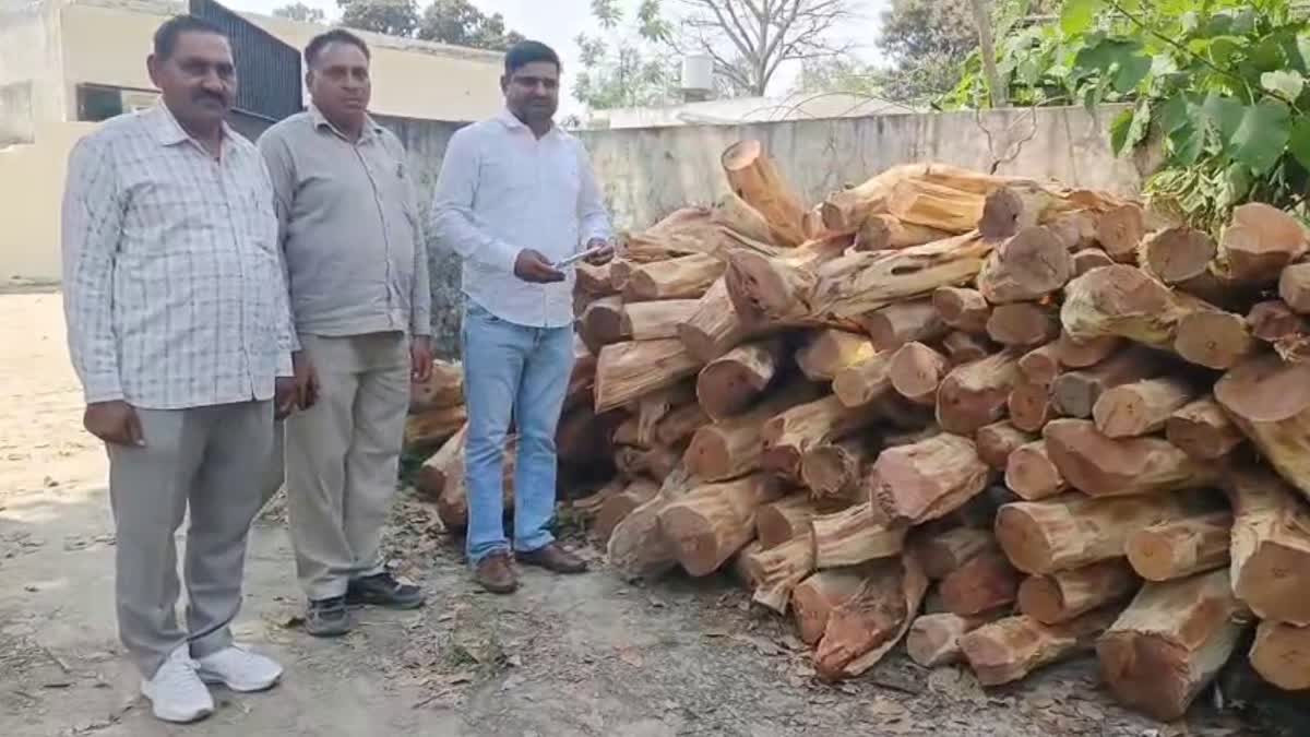 Yamunanagar Khair wood smuggling