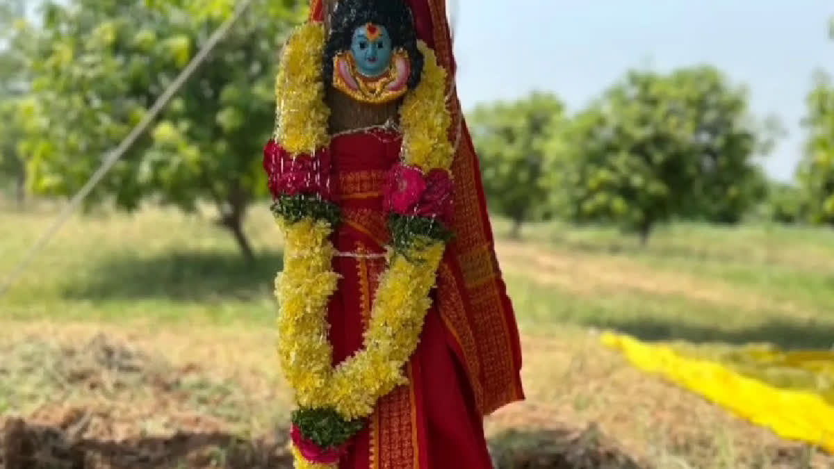 Marriage To Mango Trees In Thungur