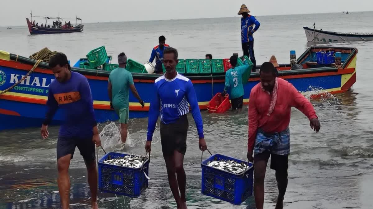 CMFRI Marine fisheries മറൈഷൻ ഫിഷറീസ് മത്സ്യത്തൊഴിലാളി