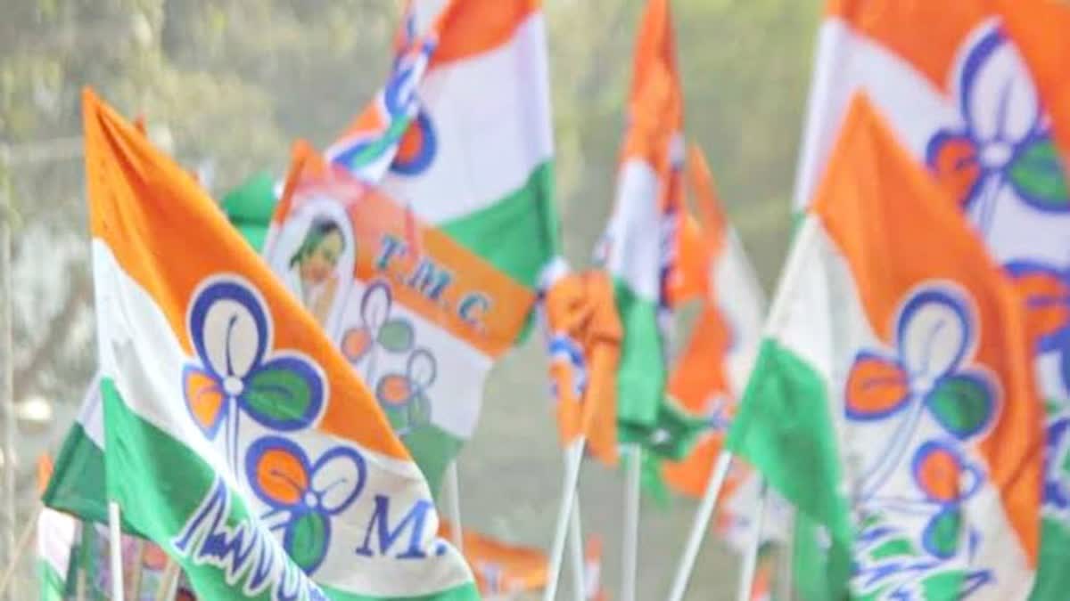 TMC ON FAKE VOTER