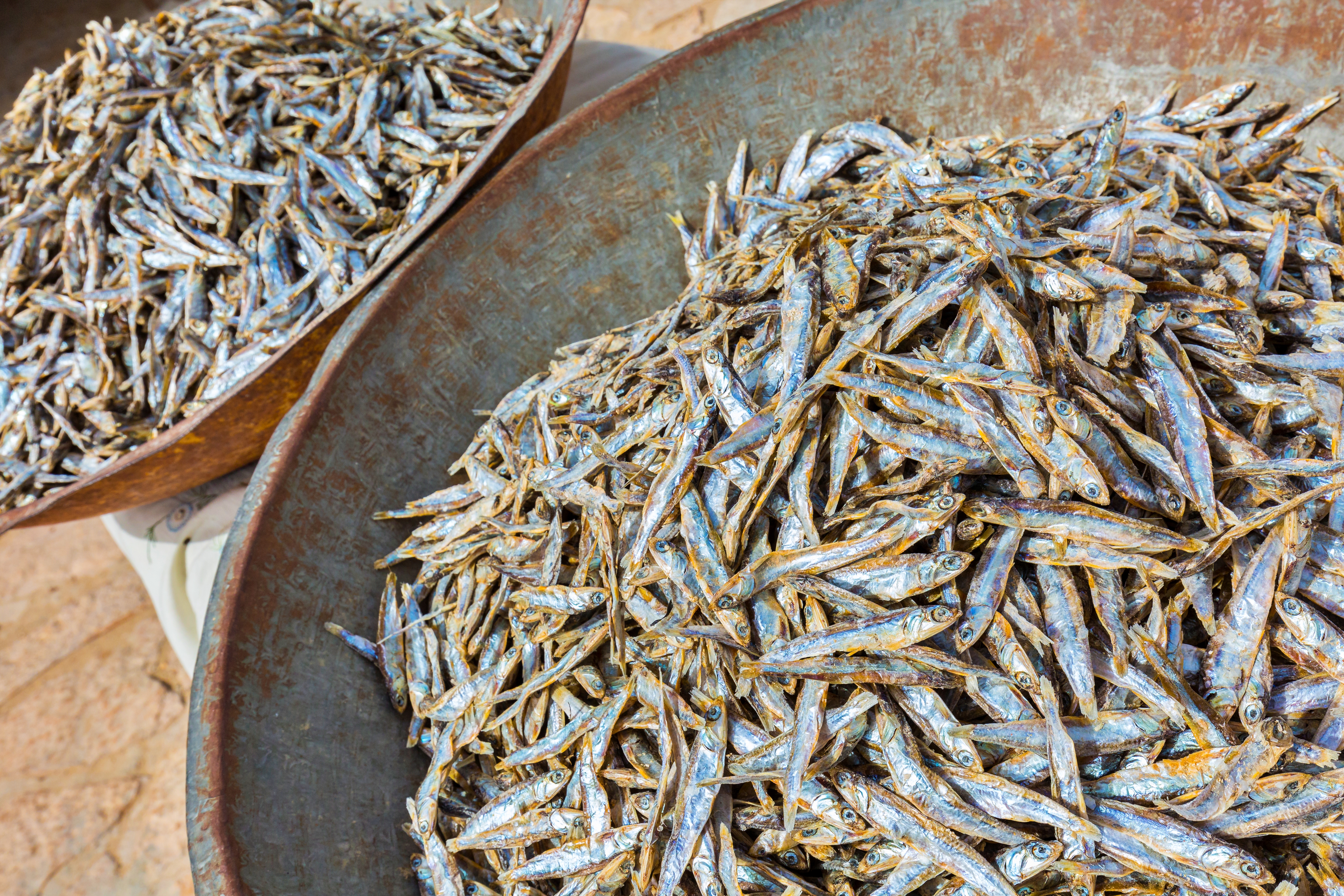 Dry Fish