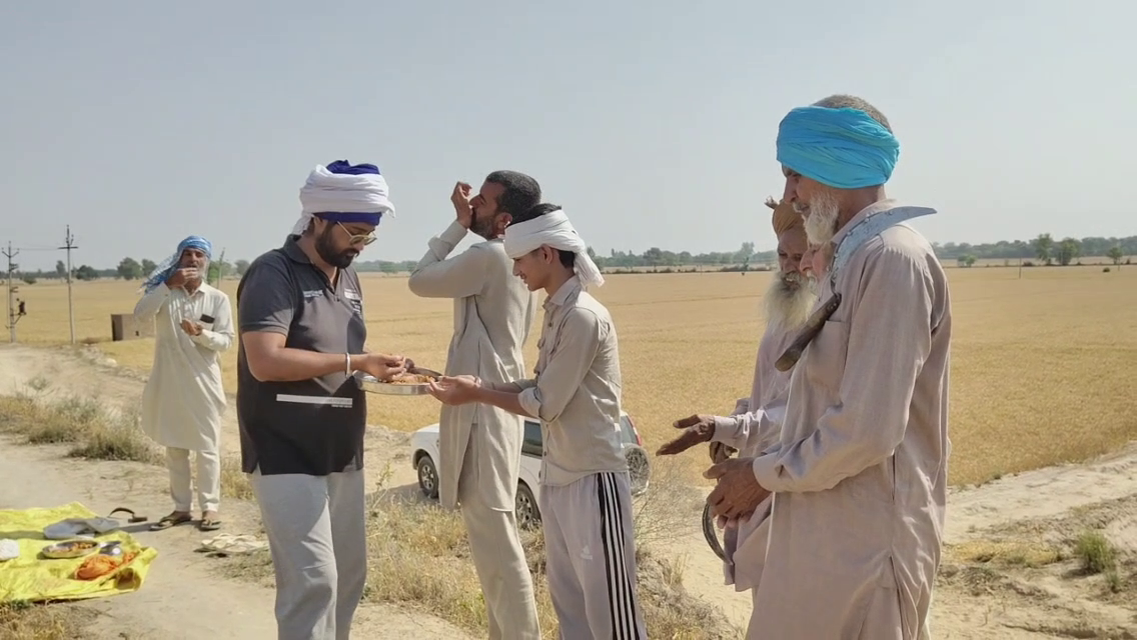 WHEAT PROTECTION