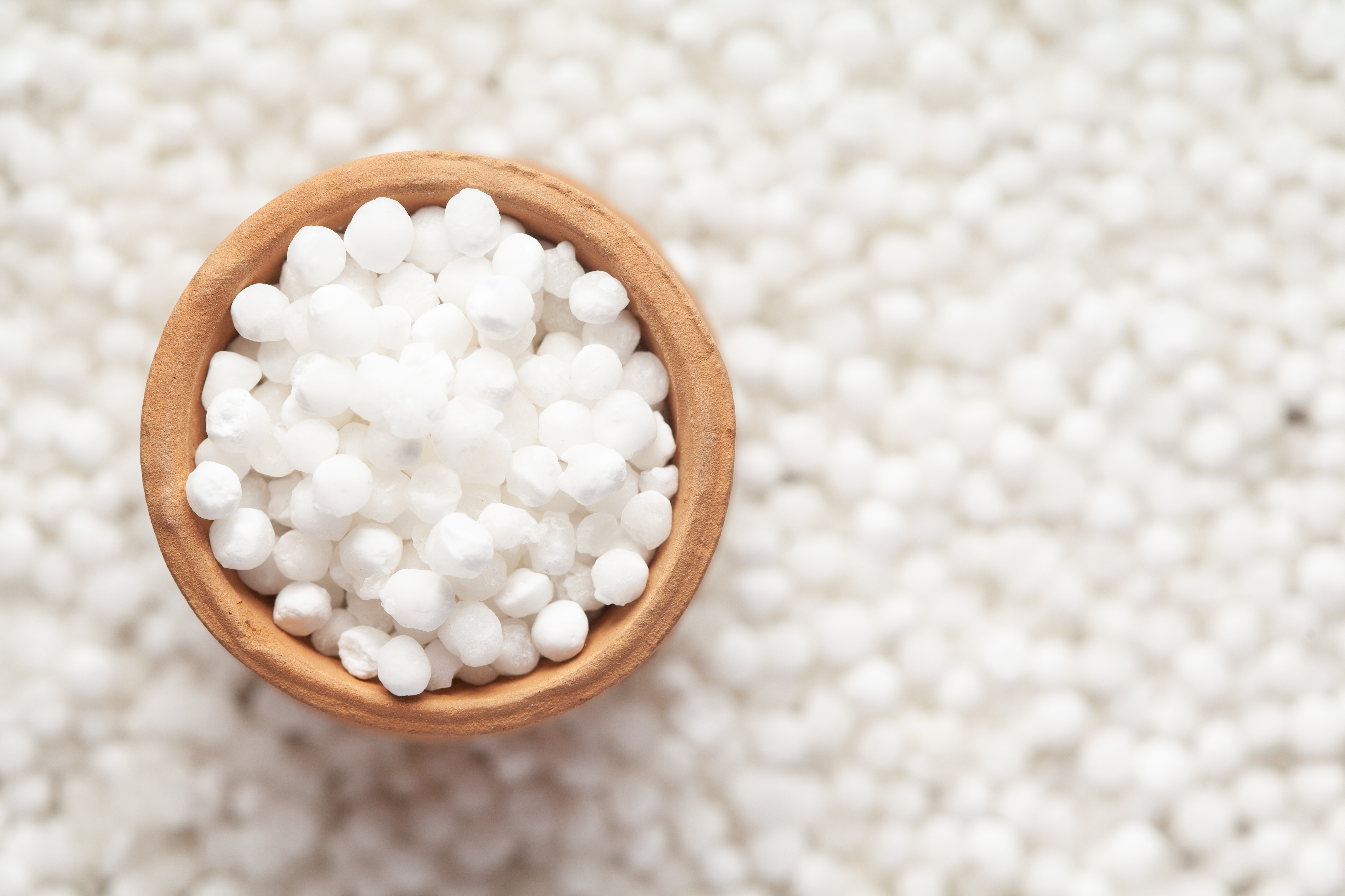Sabudana