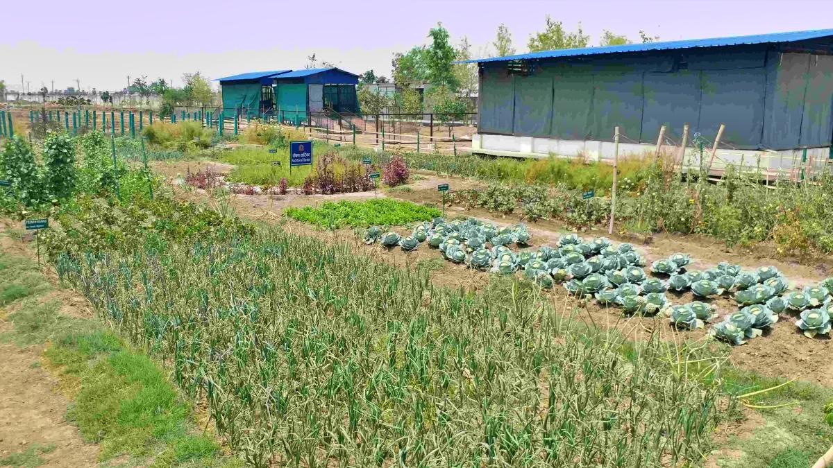 Brimato technology in Gaya