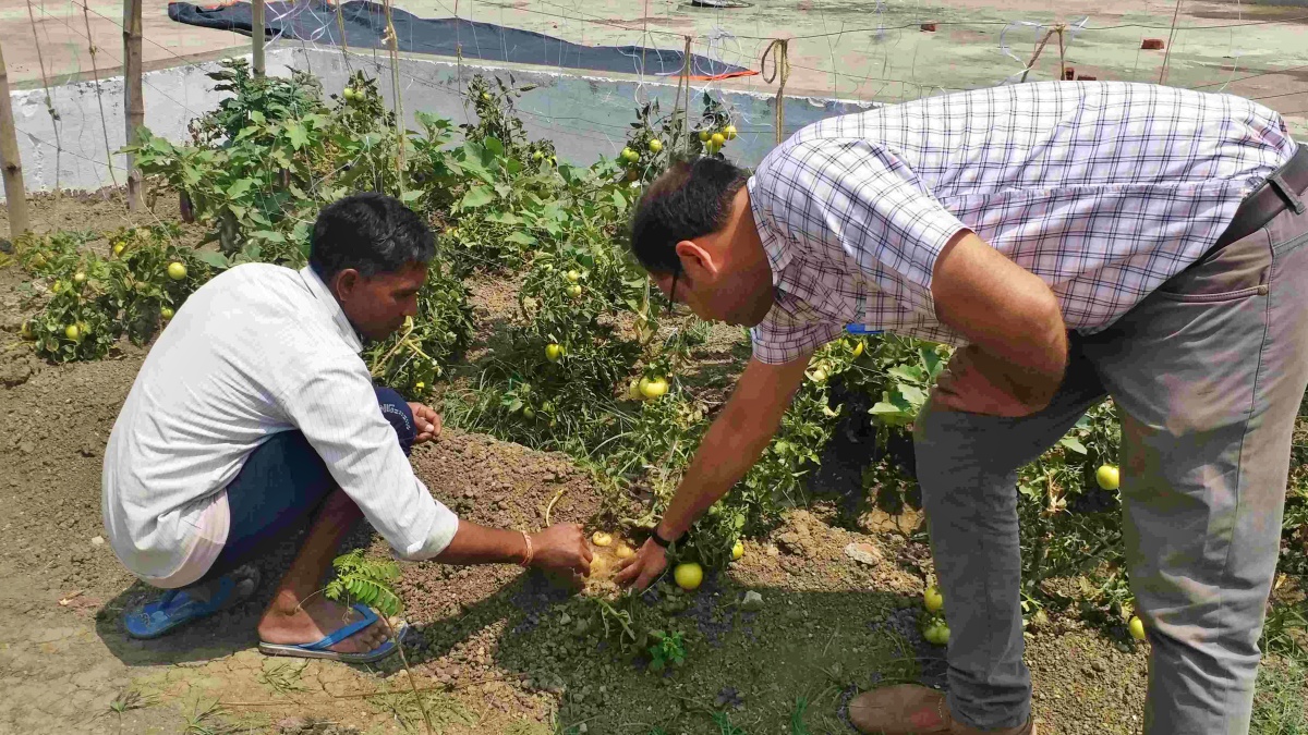 Brimato technology in Gaya