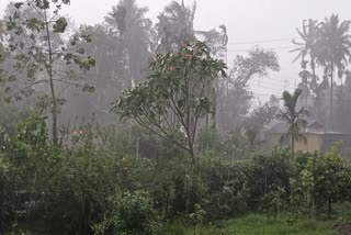 BENGAL RAIN FORECAST