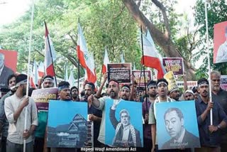 ജമാഅത്തെ ഇസ്‌ലാമി Solidarity SIO