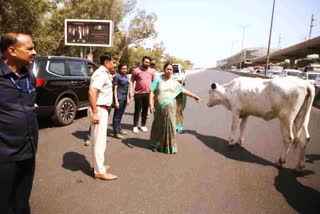 सड़क पर गाय को रोटी फेंकने वाले शख्स से मिली CM रेखा गुप्ता