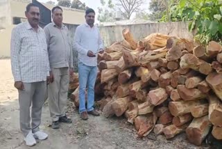 Yamunanagar Khair wood smuggling