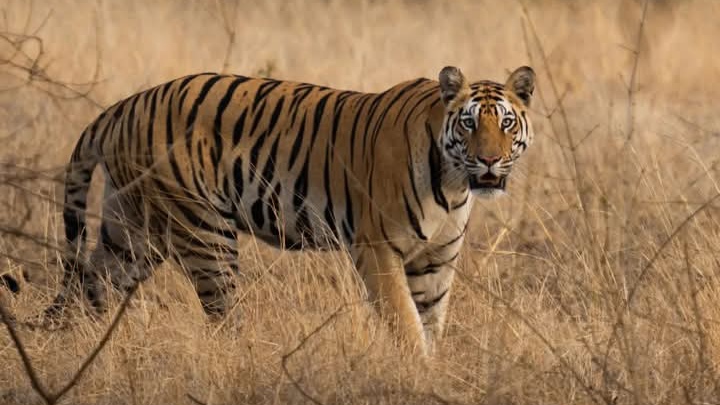 Dr Ambedkar WILDLIFE Sanctuary