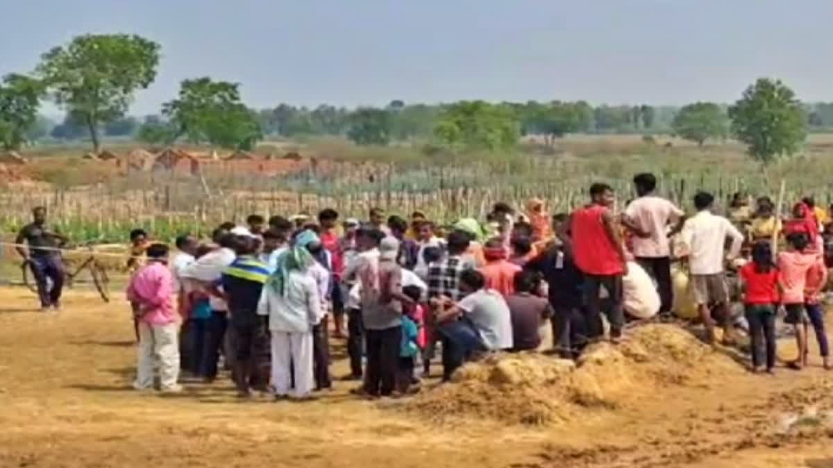 Elephant died in Hazaribag