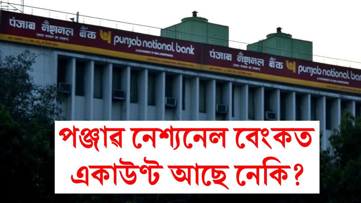 Punjab National Bank Alert