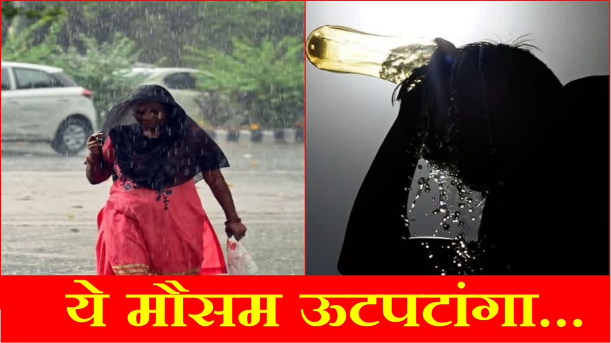 Haryana Weather Update Rain in Haryana Maximum Temperature IMD Chandigarh Weather Updates