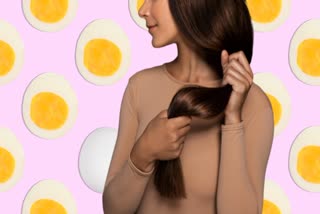 Egg for Hair Care News
