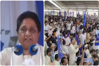 BSP supremo Mayawati in Haryana