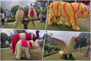 19th Ooty Rose show