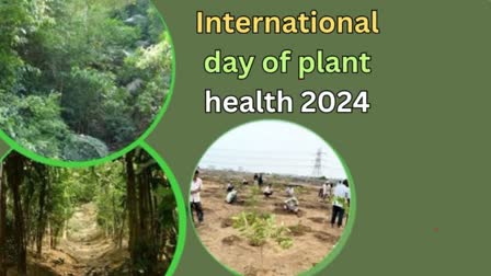 International Day Of Plant Health