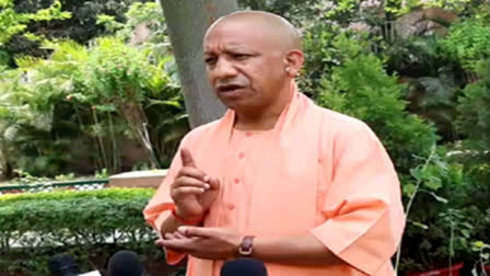 Uttar Pradesh Chief Minister Yogi Adityanath on Sunday said that he will declare Uttar Pradesh as a ‘mafia-free’ state after June 4.