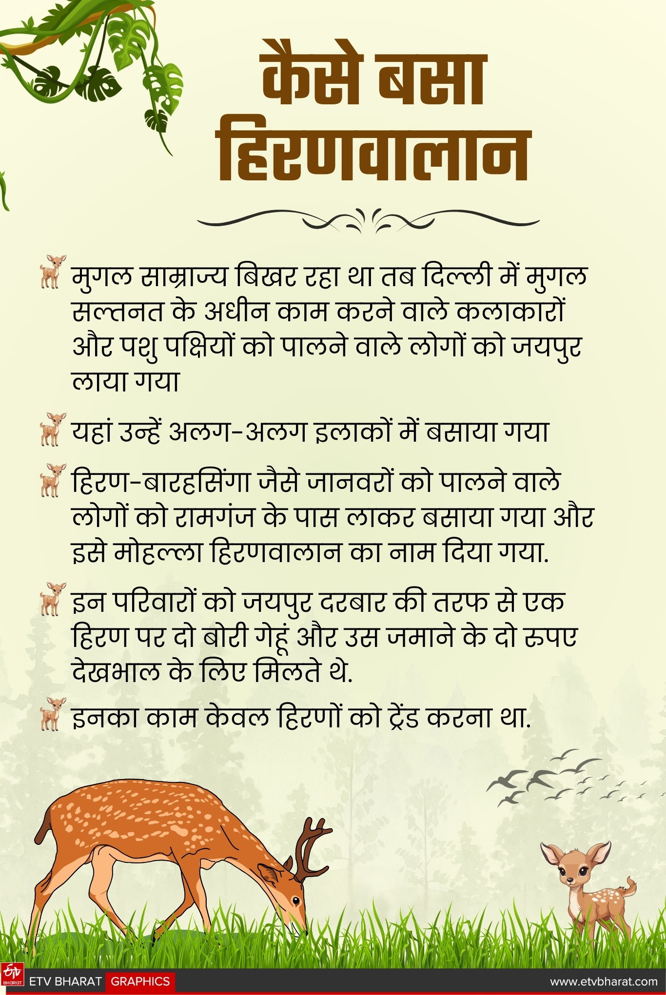 ऐसे बसा हिरणवालान