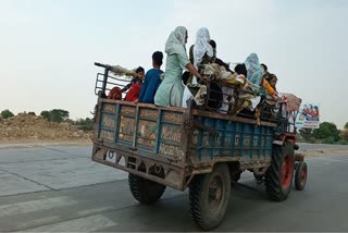 ट्रैक्टर ट्रॉलियों का अवैध उपयोग
