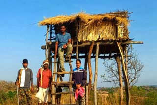Melghat has 197 scaffoldings in 127 places